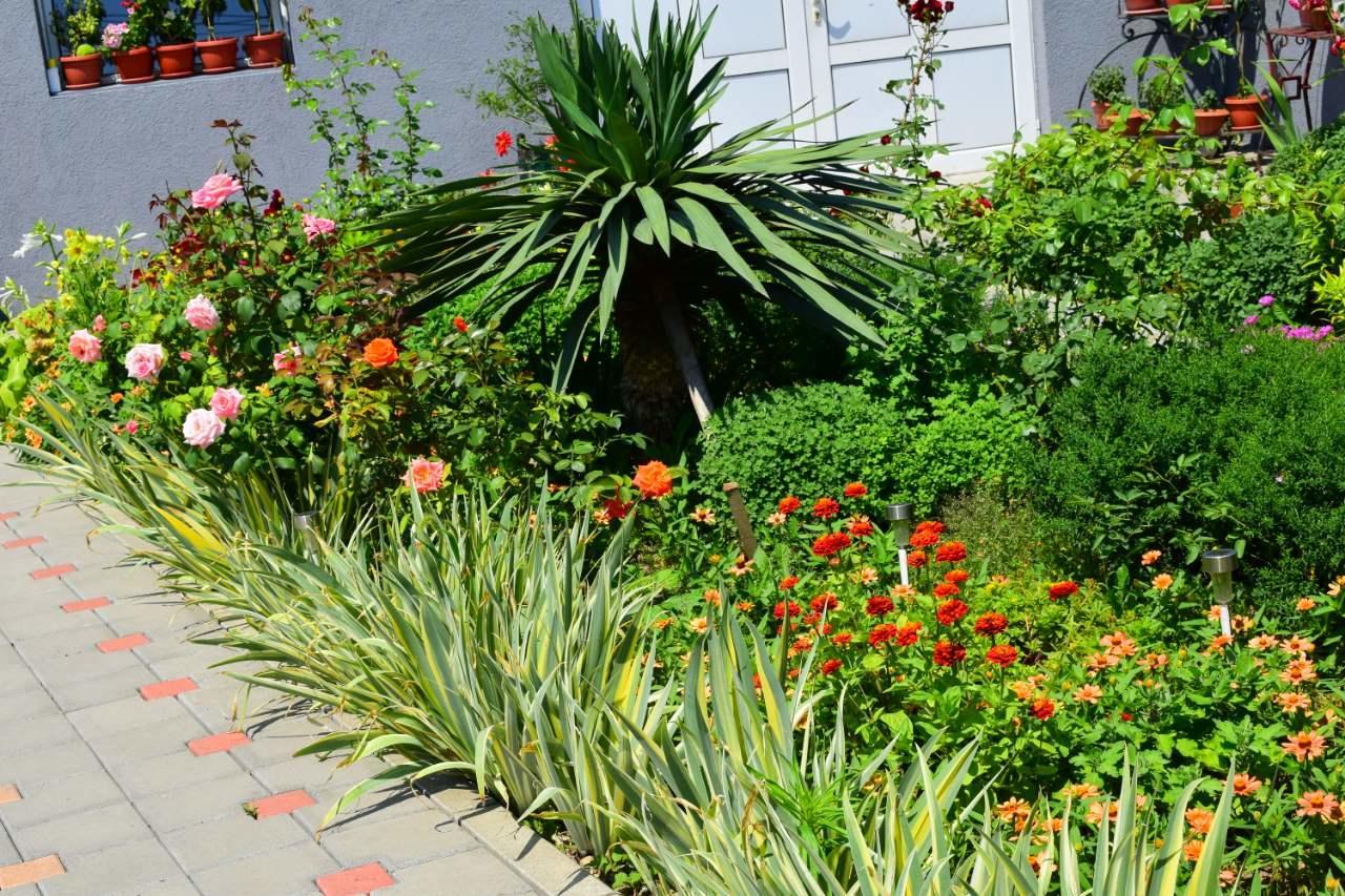 Vila Mila Riverside Apartments Смедерево Экстерьер фото
